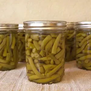 KONSERVE TAZE FASULYE (750 GR)