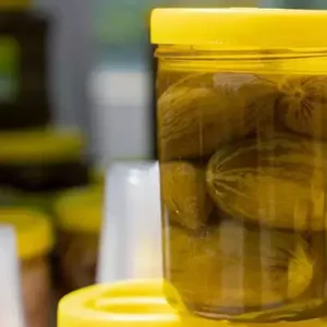 KELEK TURŞUSU (1 KG)