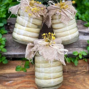 Çanak Enginar (6 adet)