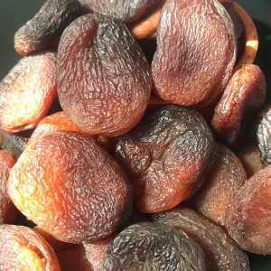 Günkurusu Kayısı (Malatya)