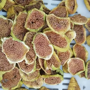 İNCİR CİPSİ KURUSU (200 GR)