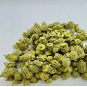 KURU ÇİÇEK BAMYA 100 GR